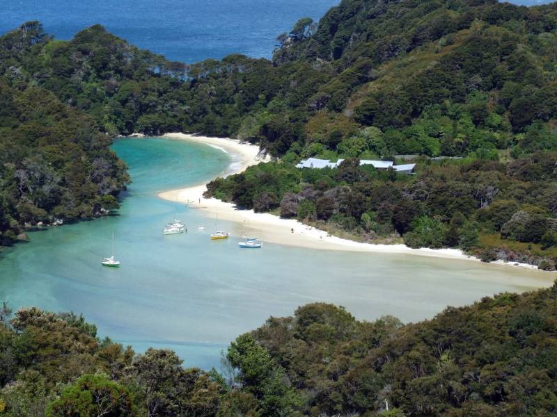 Abel Tasman Coast Track Walk - South Island New Zealand - Copyright Freewalks NZ