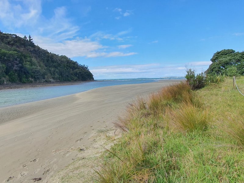 Te Akeake Walk – Wenderholm Regional Park