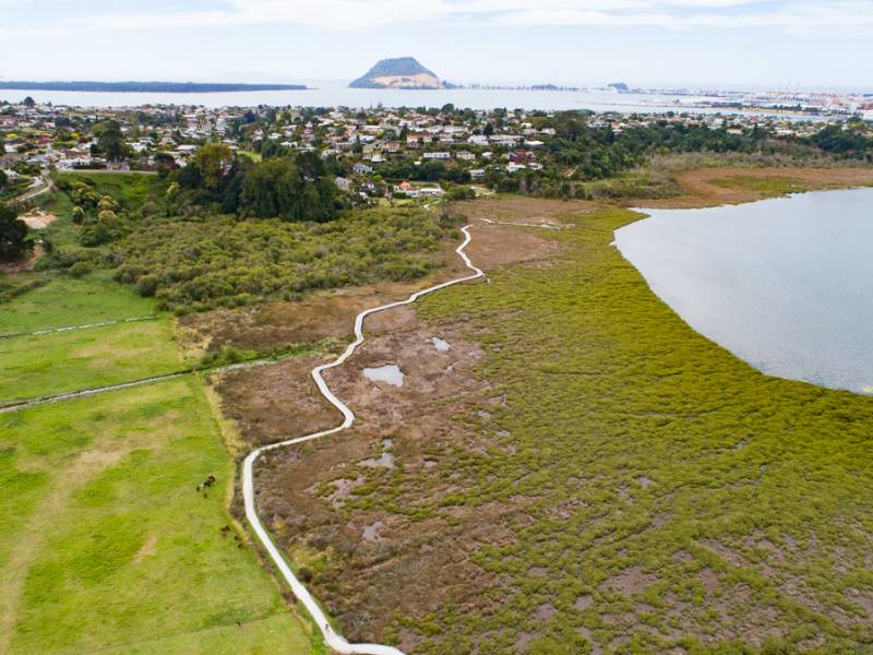 Waikareao Estuary Walk in Tauranga - Copyright Freewalks.nz||||Waikareao Estuary Walk|Waikareao Estuary Walk in Tauranga - North Island New Zealand - Copyright Freewalks.nz (2)|Waikareao Estuary Walk in Tauranga - North Island New Zealand - Copyright Freewalks.nz (2)|Waikareao Estuary Walk in Tauranga - North Island New Zealand - Copyright Freewalks.nz (2)|Waikareao Estuary Walk in Tauranga - North Island New Zealand - Copyright Freewalks.nz (2)