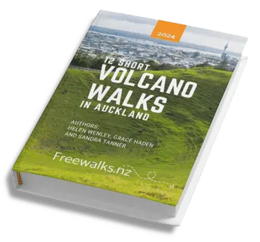 12 Short Volcano Walks in Auckland ebook