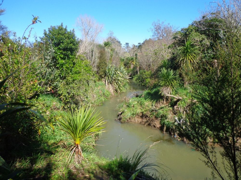 Oratia Stream Loop Walk - view of the stream