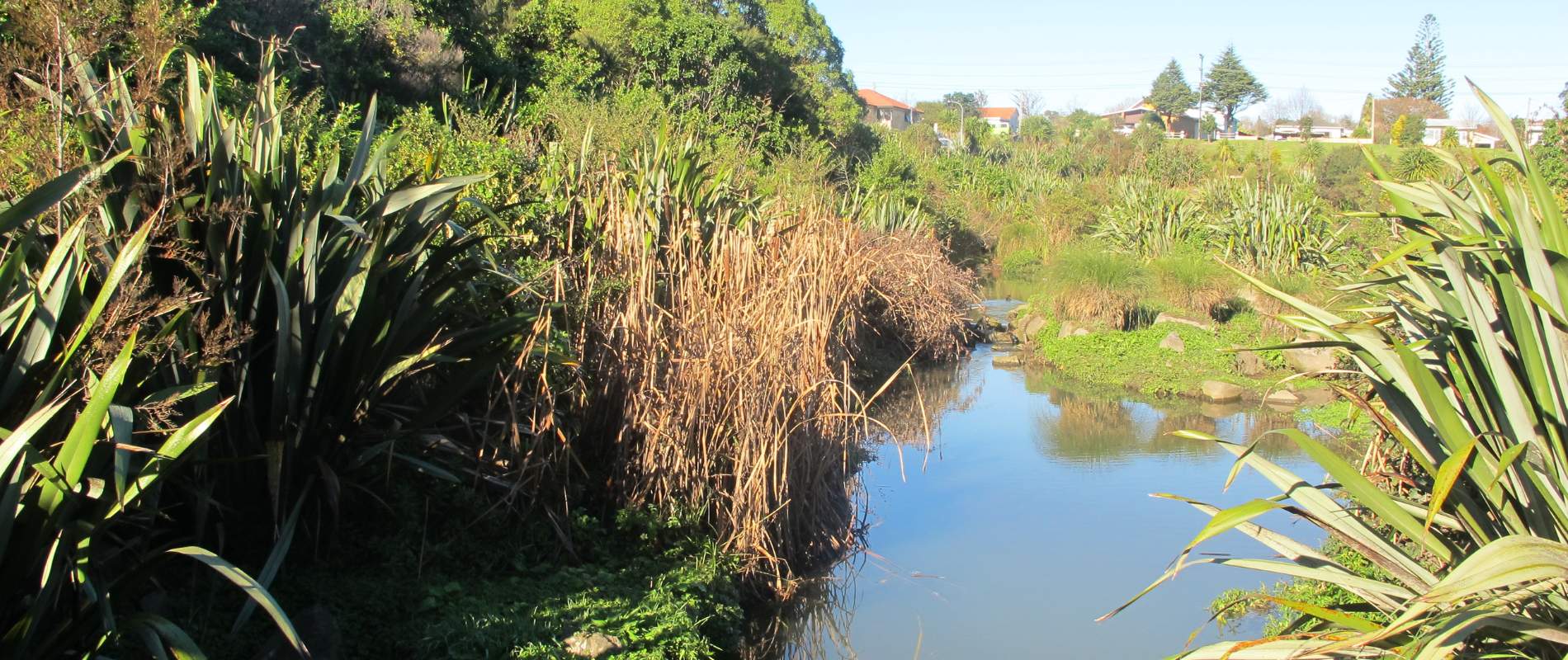 New Lynn Pottery and Parks