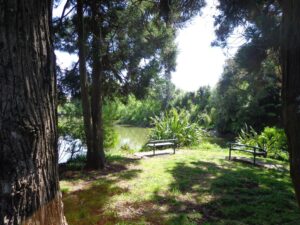 Henderson Creek Loop