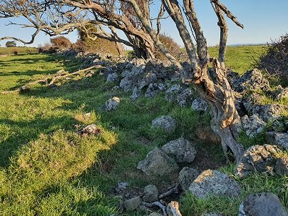 The Historic Stone Wall