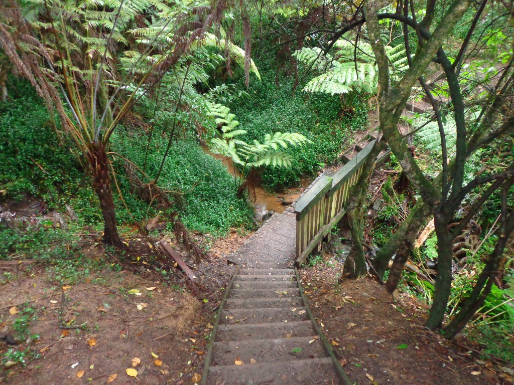 Looking down at the stairs on the Beach Haven Coastal Walk