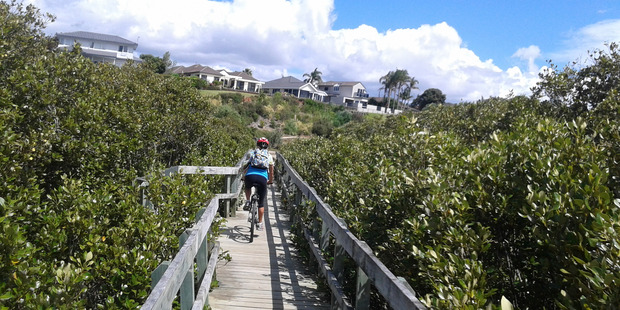 Cycle way at Conifer Grove Circuit