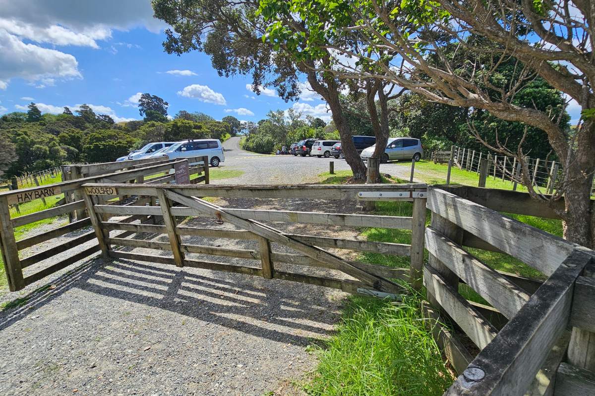 Cudlip Point Lookout walk at Mahurangi West - Back to Sullivans Bay.jpg
