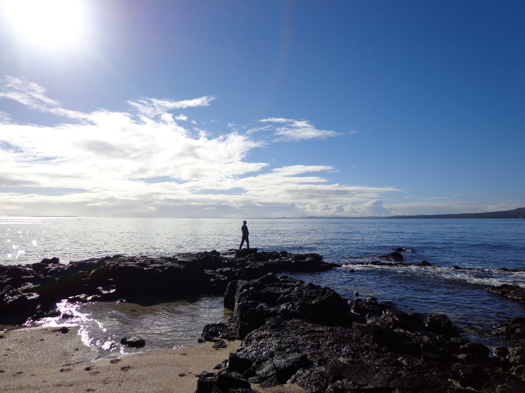 Takapuna to Milford Loop Walk