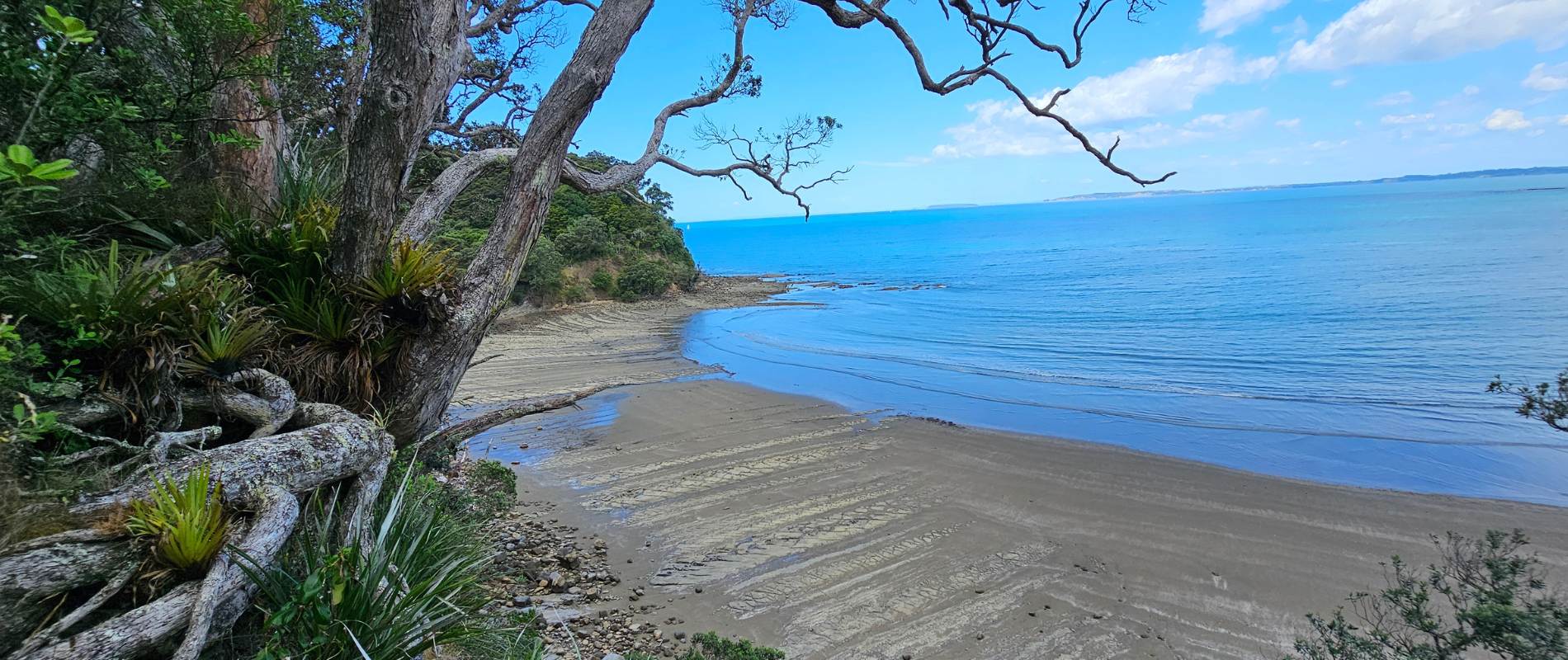 Cudlip Point Loop Track & Te Muri Beach