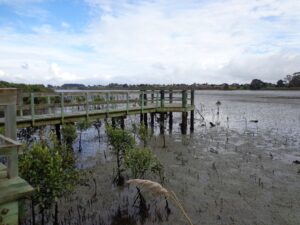 view Conifer Grove Circuit