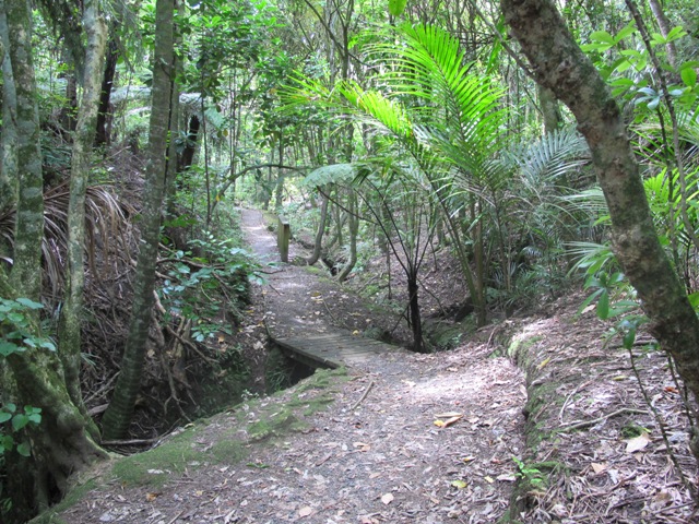 bush and plants and walkpath