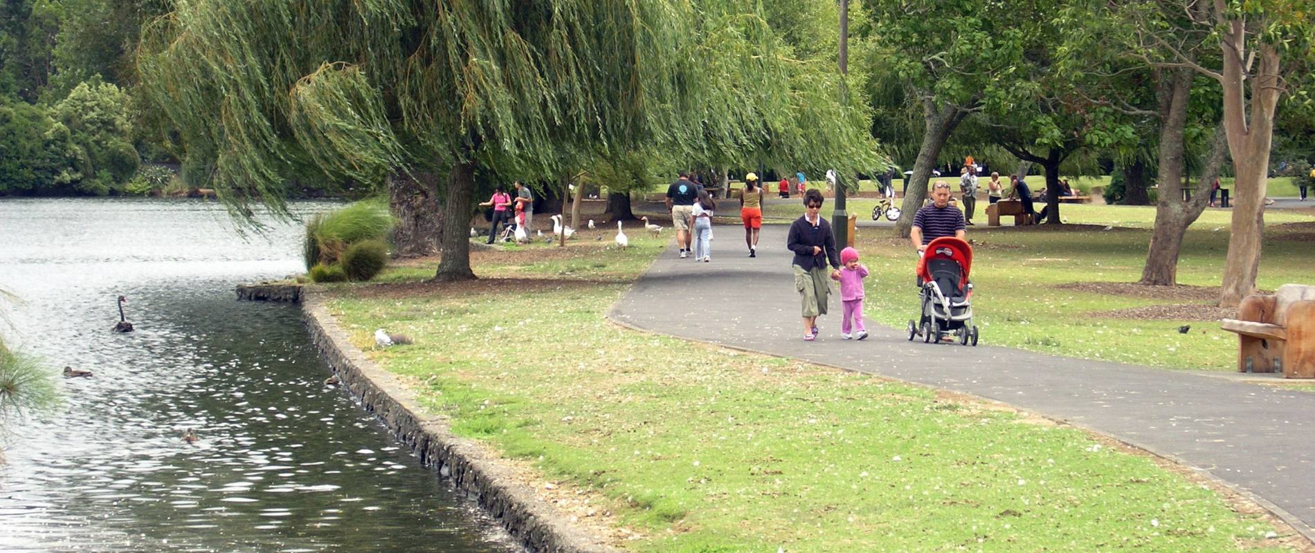 Pram friendly walks in Auckland