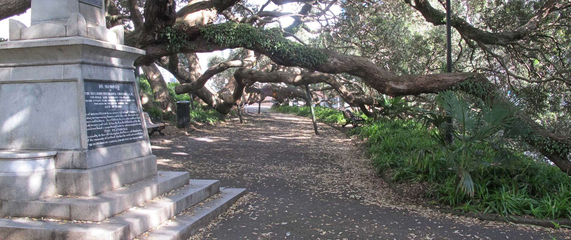 Walking through the CBD of Auckland