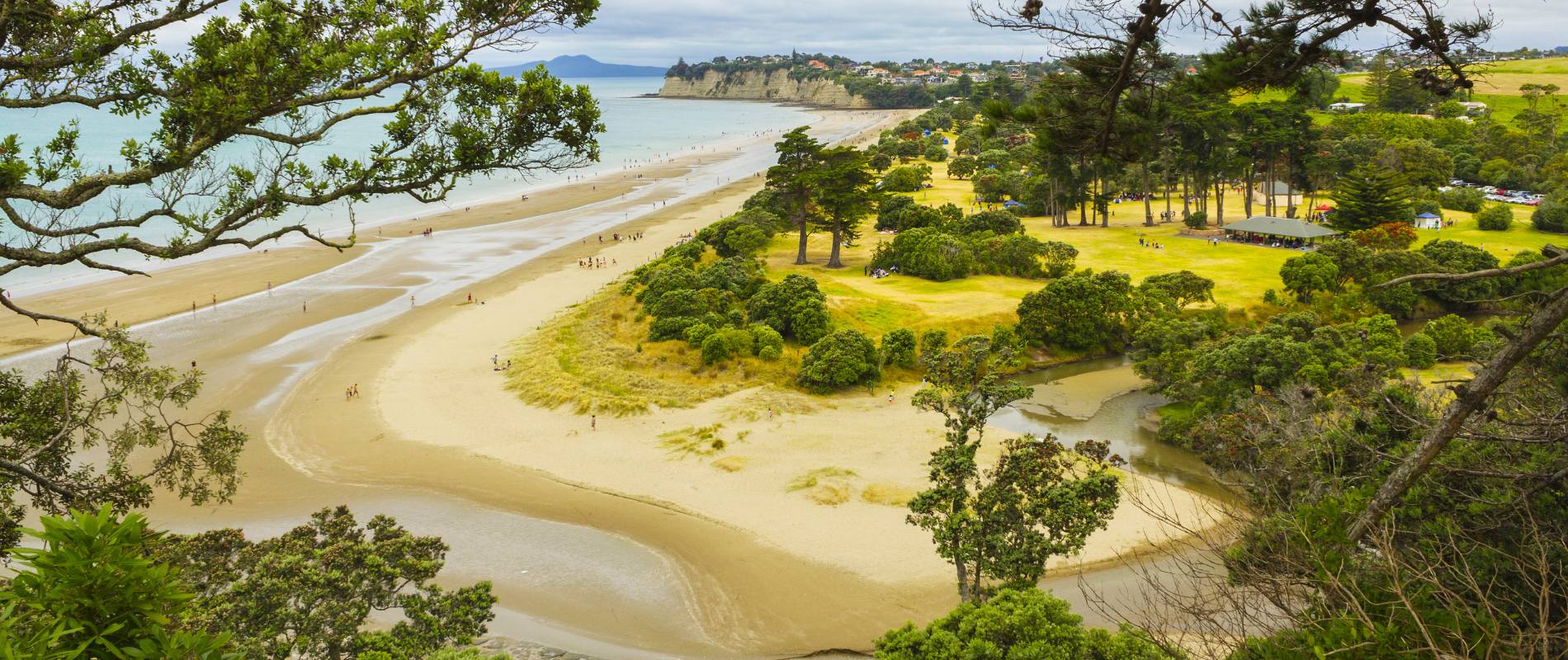 Spring Walks in Auckland