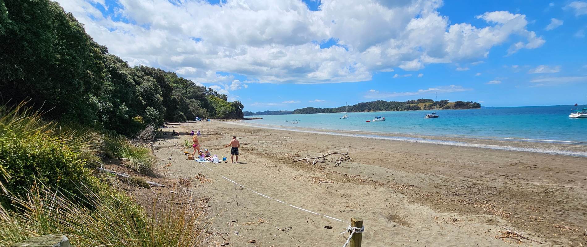 Things to do in Auckland