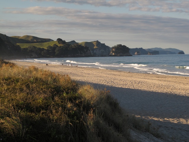Weekend in The Coromandel