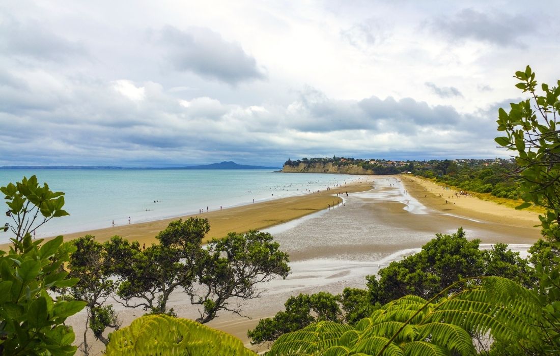 Long Bay Beach in Auckland