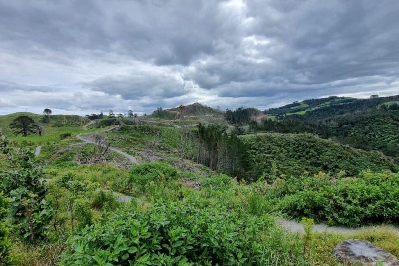 Waihi-Beach-Trig-Walk-2