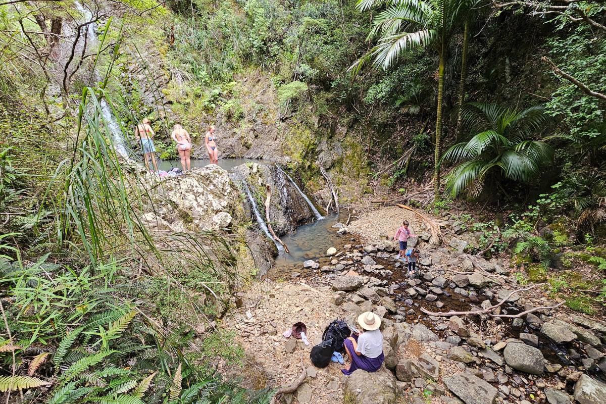 Beautiful waterfall and swimming hole in the bush in New Zealand