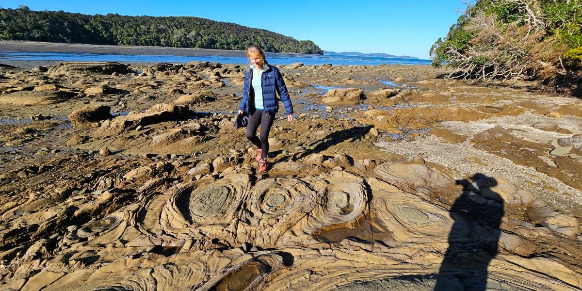 Brick Bay Sandspit Loop Walk