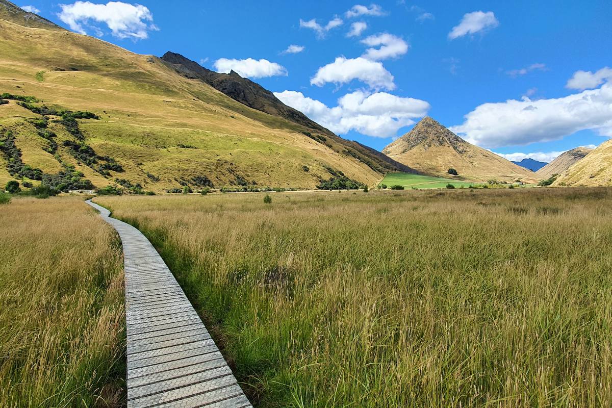 I love the South Island, this is at Moke Lake near Queesnstown