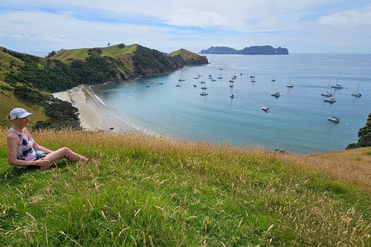 It was a beautiful summers day in the North Island of New Zealand