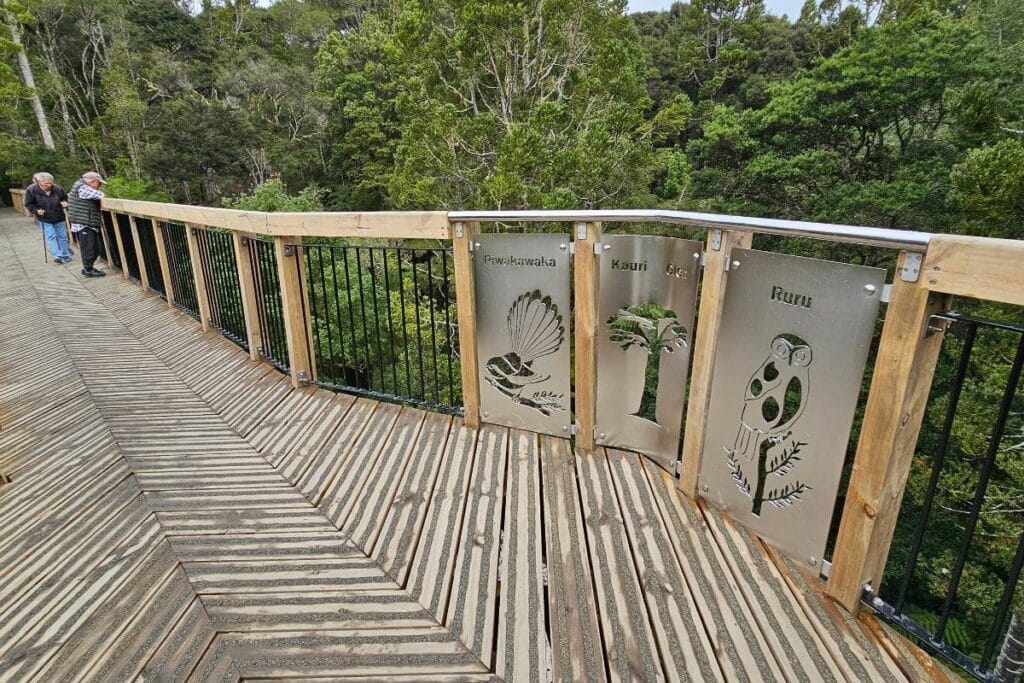 A panoramic view of the Kauri Glen Reserve with a winding path