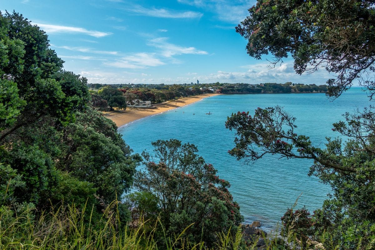 Looking down over Cheltenham Beach