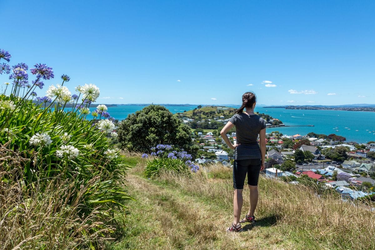 On Mt Victoria looking back to North Head
