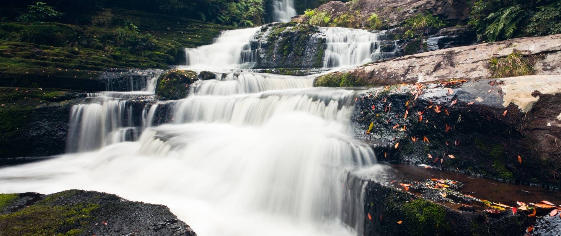 McLean Falls Walk The Adventure You Didn't Know You Needed!