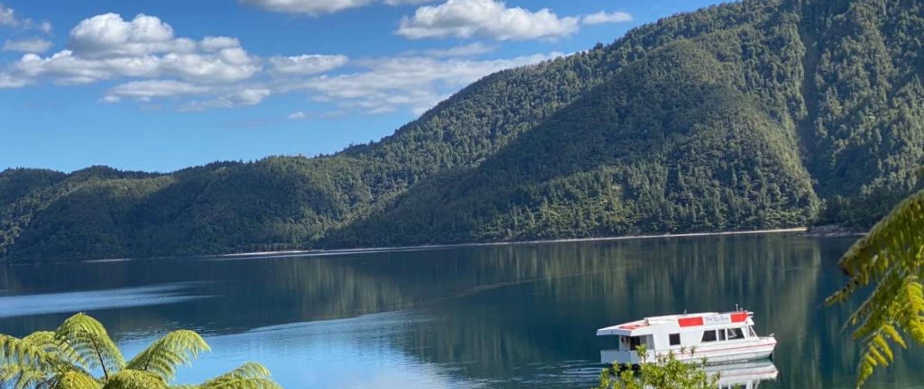 Explore the Hidden Beauty of Lake Okataina in Rotorua – The Ultimate Walking Guide!