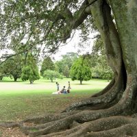 One Tree Hill Walk in Auckland