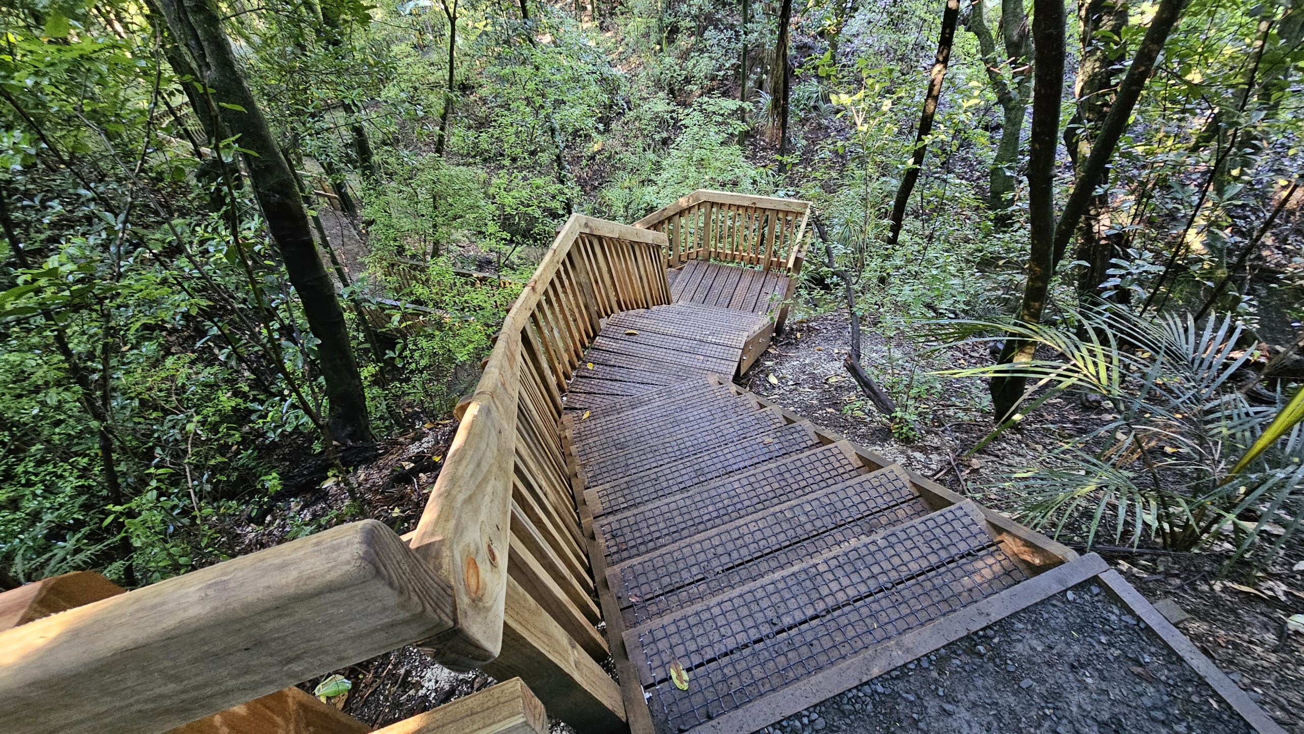Kauri Park Loop Walk, Warkworth